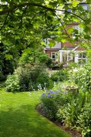 Looking down the garden towards the house framed by the leaves of Liriodendron tulipifera, curving lawn and borders - Eldenhurst