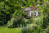 Looking down the garden towards the house framed by the leaves Liriodendron tulipifera, curving lawn and borders - Eldenhurst