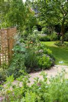 Looking down the garden from the gravel area. Trellis screen at back of border dividing the garden from the car parking area and Liriodendron tulipifera in the lawn - Eldenhurst