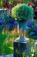 Stone urn on plinth planted with Santolina - The Merrill Lynch Garden RHS Chelsea Flower Show 2003. Silver-Gilt Flora