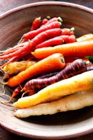 Harvested and washed carrots 'Samurai Red', Maestro', Purple Haze' and 'Yellowstone'