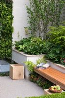Wooden bench with blanket, underplanted with Dicentra 'King of Hearts', next to square raised planter with Betula and mixed green foliage plants. Eco Chic Garden, sponsored by Helios - Gold medal winner for Best Urban Garden at RHS Chelsea Flower Show 2009
