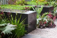 Rectangular water feature tanks with planting including Libertia grandiflora, Aquilegia vulgaris var. stellata 'Ruby Port', Cynara cardunculus, Heuchera, Allium schoenoprasum and Buxus sempervirens in The The Children's Society Garden - Gold medal winner for Urban Garden at RHS Chelsea Flower Show 2009