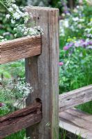A wooden stile leads into The Fenland Alchemist Garden, sponsored by Giles Landscapes - Gold medal winner for Best Courtyard Garden at RHS Chelsea Flower Show 2009 
