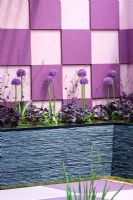 Formal planting of Alliums and Heuchera against mauve and pink wall tiles - A Japanese Tranquil Retreat Garden, sponsored by Sekisui Exterior Co Ltd - Silver-Gilt Flora medal winner at RHS Chelsea Flower Show 2009