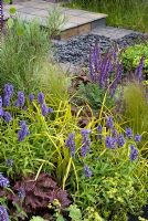 Border with Nepeta nervosa, Heuchera 'Palace Purple', Salvia nemerosa 'Caradonna' and Stipa tenuissima - An Urban Retreat by Paul Titcombe - BBC Gardeners' World Live 2009 - Gold Medallist 