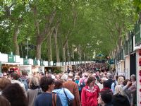 Crowds at RHS Chelsea Flower Show