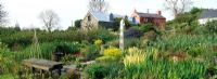 View across the Bog Garden - Dyffryn Fernant Gardens, Fishguard, South Wales in May