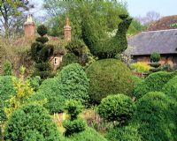 View across topiary to house - Charlotte Molesworth's garden, Kent