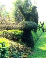 View along topiary hedge - Charlotte Molesworth's garden, Kent