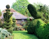 Topiary and view to small seating area - Charlotte Molesworth's garden, Kent