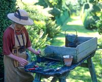 Step by step 5 of taking box cuttings in August. Placing cuttings into pots, 2cm apart around edge of pot with a 50/50 mix of peat free compost and horticultural grit - Charlotte Molesworth's garden, Kent