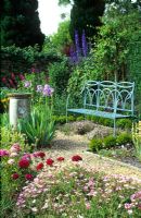 Geraniums, sweet williams, Iris, Thymus and Delphiniums in the herb garden - Cerne Abbas, Dorset