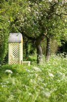 Malus - apple trees in blossom. Orchard and meadow at Amwell cottage garden, Hertfordshire UK May 2008 