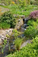 Stream with waterfalls, stone boulders and wall with adjacent planting of ferns, perennials and shrubs - Brackenrigg Lodge, NGS garden, Cumbria