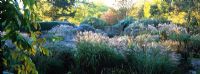 Overlooking a garden of frost covered grasses and perennials including Miscanthus sinensis, Stipa and Pennisetum at Knoll Gardens, Dorset. November.