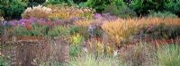 Late autumn border of grasses, perennials and seedheads including Achnatherum brachytrichum, Miscanthus sinensis, Eupatorium maculatum 'Atropurpureum', Aster novae-angliae 'Barr's Blue', Aster novi-belgii 'Schšne von Dietlikon', Chrysanthemum indicum, Salvia sclarea var. turkestanica, Achillea filipendulina 'Coronation Gold', Phlomis russeliana, Festuca mairei, Verbascum densiflorum, Sedum telephium 'Herbstfreude', Chrysopgon gryllus and Veronica longifolia hybrid at Hermannshof Garden, Germany