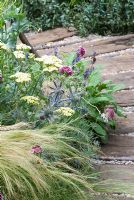 Border with Achillea 'Coronation Gold', Eryngium, Scabious and Stipa tenuissima, edging a path made with railway sleepers - The Life Cycle Garden - RHS Hampton Court Flower Show 2009