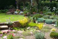 View of secluded back garden with raised lawn, pond planted with Nymphaea - water lily, Iris pallida 'Variegata', Carex elata 'Aurea' and Myriophyllum. Adjacent 'beach area' with Thymus serpyllum 'Coccineus', Lavender 'Hidcote', Dianthus and Osteospermum, and beyond, pergola with Clematis jackmanii 'Superba', Rosa 'Compassion' and purple foliage bed with Cotinus coggygria 'Royal Purple', Berberis thunbergii 'Atropurpurea Nana', Cineraria maritima, Astilbe simplicifolia 'Sprite' Alstroemeria 'Devotion' and Campanula persicifolia alba at Gorse Way, NGS garden, Lancashire