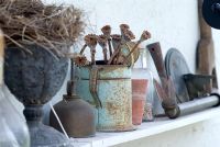 Collection of vintage garden utensils and ornaments on greenhouse shelf