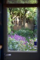 Small London garden viewed through back door showing shed/summerhouse in early Summer sunshine 