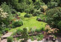 Overview of the garden showing the raised terrace, curving lawn winding between generous beds of mixed planting and central old apple tree.