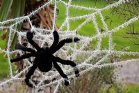 Halloween decoration of a giant spider on a web