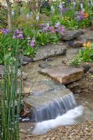 Primula bulleyana, Primula florindae and Camassia, surrounding a cascading water feature - The Hesco Garden, sponsored by HESCO Bastion and Leeds City Council - Silver-Gilt medal winner at RHS Chelsea Flower Show 2009
