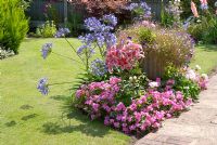 Garden lawn, stone paving and border with Agapanthus 'Bluebird', Lilium 'Stargazer', Lobelia, Geranium and Impatiens - Woodlands, NGS garden, Lancashire