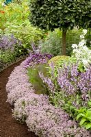 Mixed border of Allium schoenoprasum, Thymus serpyllum 'Iden', Lavandula stoechas, Salvia officinalis and standard Laurus nobilis - Chelsea Flower Show 2009