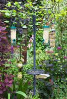 Bird feeders in early summer - Dorset House NGS, Staffordshire 