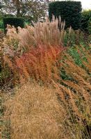 Seedheads and autumn foliage of grasses and perennials including Miscanthus sinensis 'Flammenmeer', Calamagrostis, Deschampsia cespitosa 'Goldschleier' and Sanguisorba in Piet Oudolf's garden, Hummelo, The Netherlands