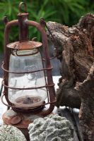 Collection of found objects, coral and bark, with old rusty hurricane
lamp - Roof terrace garden