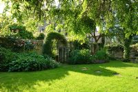View from informal garden towards house framed by weeping Ash. Garden wall clothed with Roses, Jasmine and Hydrangea. Stepping stones in lawn leading to gate, New Square, Cambridge