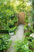 Path to garden gate in formal garden. Box edging, containers - New Square, Cambridge