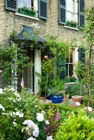 View across formal town garden to front door of Victorian house with shutters - New Square, Cambridge