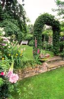 Hornbeam arch and steps between small upper and lower lawn. Irises, Foxgloves, Roses and Verbascum - New Square, Cambridge 