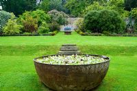 Metal 'kettles' used to smelt tin, now contain Aponogeton distachyos, Cape Pondweed or Water Hawthorn, in the Walled Garden. Trewidden, Buryas Bridge, Penzance, Cornwall, UK