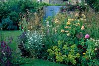 Cottage garden mixed border with Rosa 'Graham Thomas', Stipa gigantea Alchemilla and Lychnis - Mistletoe House