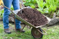 Mulching shade plants with composted wood chips