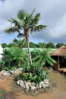 Island planting, Palm tree and exotic, tropical foliage plants, Hampton Court Flower Show 2009