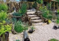 Seaside garden planted with a range of grasses, driftwood steps - HCFS