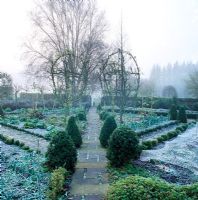 Winter frost covers the symmetrical lines of paths, beds and planting in the potager at Barnsley house, Gloucestershire