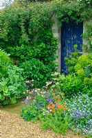 Mixed planting near the barn