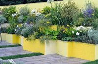 Extensive planting in brightly painted raised beds - RHS Tatton Park Flower show