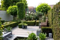 Small formal urban garden with raised pond. Patio beyond with Olea europaea - Olive trees in pots. Carpinus betulus- Hornbeam trees underplanted with clipped Buxus - Box. Catalpa bignonioides 'Nana' tree in background. Taxus- Yew hedge. 