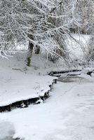 Winter garden scene - Moorhen footprints across a frozen pond 