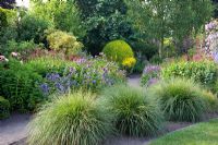 Summer border with Persicaria 'Taurus', Nepeta subsessilis Asclepia, Pennisetum