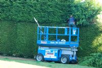 Man with safety helmet cutting the top of a Cupressocyparis 'Leylandii' hedge with a petrol driven hedge cutter from a platform access