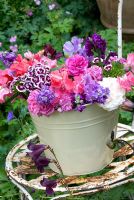 Cream bucket filled with scented summer flowers - Mattiola incana, Dianthus barbatus, Lathryus odorata on vintage chair
